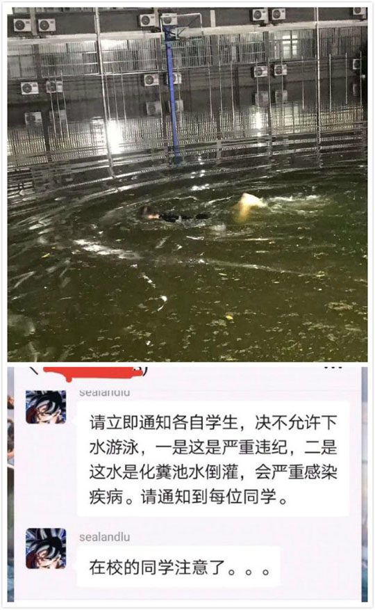 我也要向他学习，做一名粪游向前的好青年-微梦云小屋