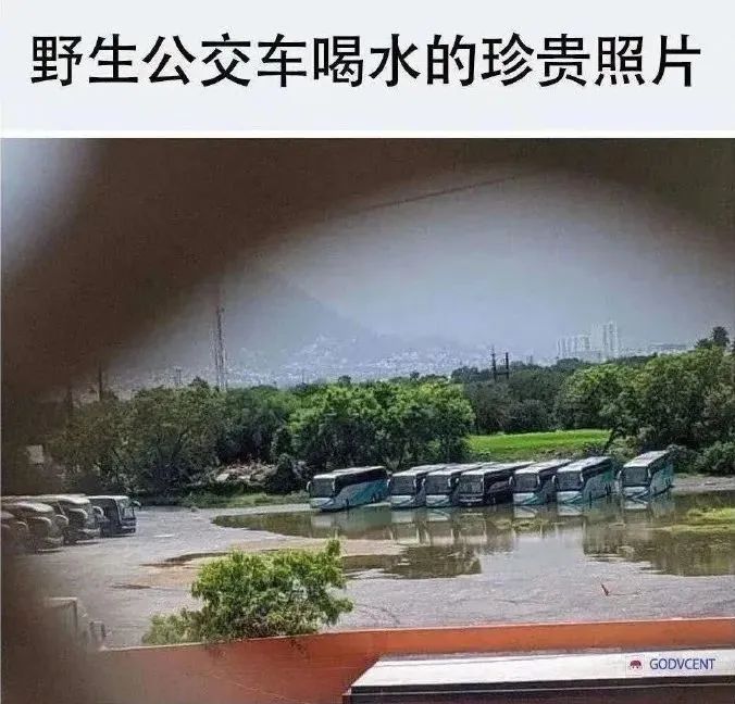 你属于哪个区-微梦云小屋