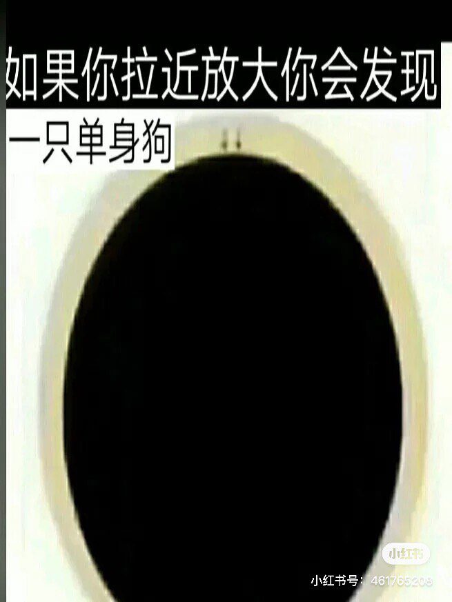 买到真正的“鼠标”了-微梦云小屋