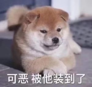我又回来了噢-微梦云小屋